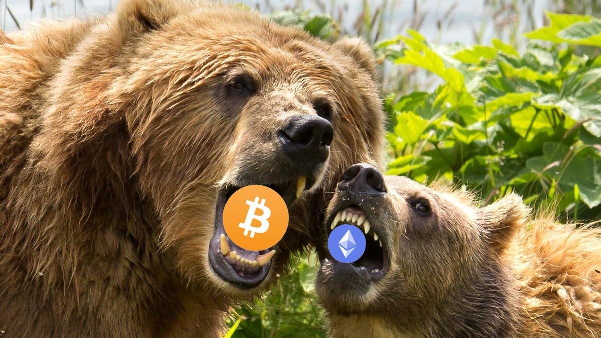 Los osos dominan el mercado cripto