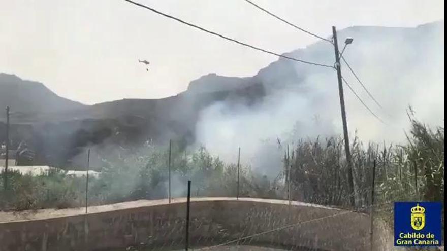 Incendio en Risco Blanco, San Bartolomé de Tirajana