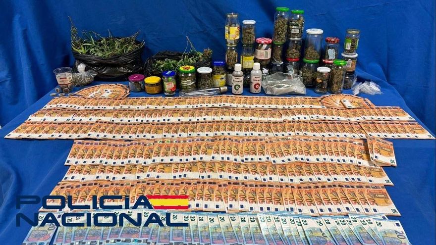 Desmantelan una plantación de marihuana en Mérida: 22 plantas y unos 20.000 euros en efectivo