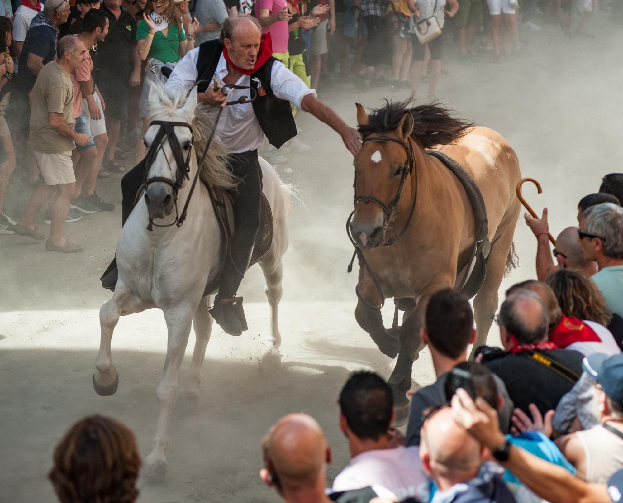 Las mejores fotos de la tercera Entrada de Toros y Caballos de Segorbe