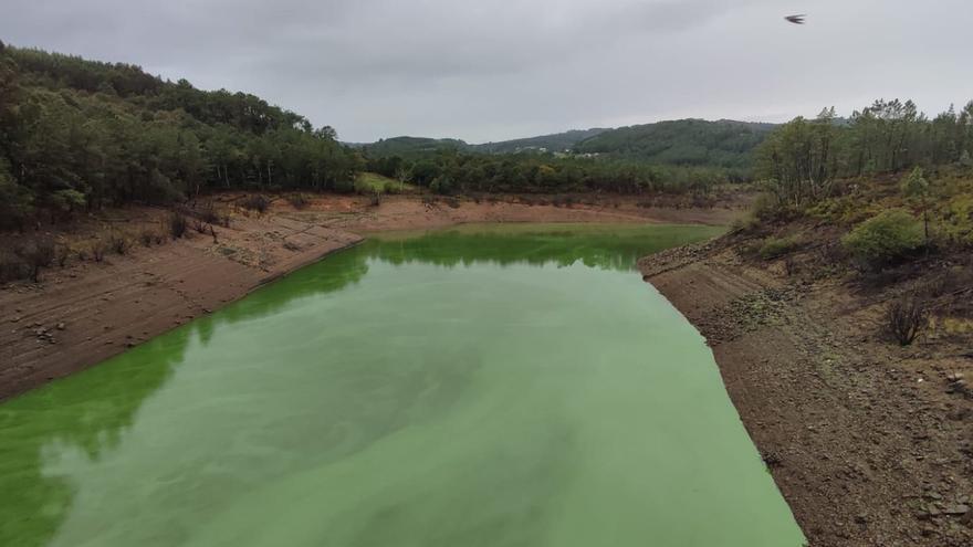 Greenpeace avala la calidad del agua solo de A Estrada, Forcarei y Dozón
