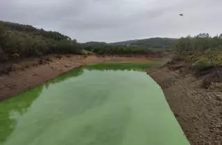 Greenpeace avala la calidad del agua solo de A Estrada, Forcarei y Dozón