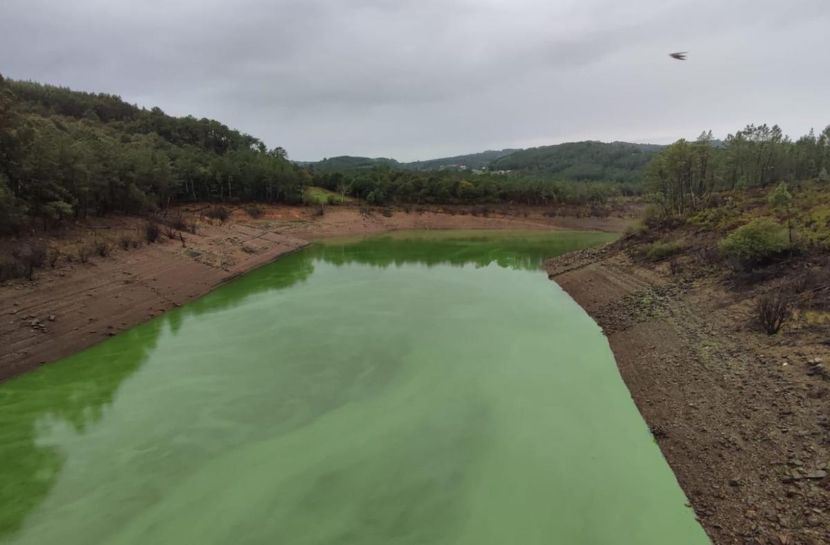 La presa de Portodemouros, teñida de verde por la microcistina. |
