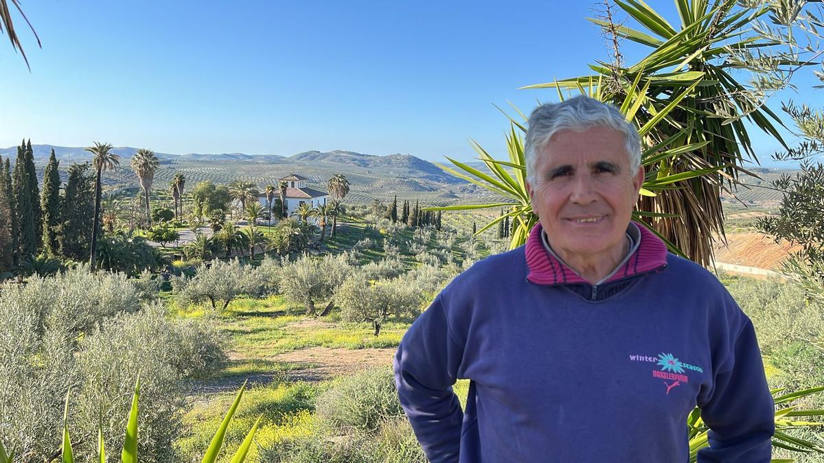 José Conde posa en su finca de olivar tradicional en Baena.