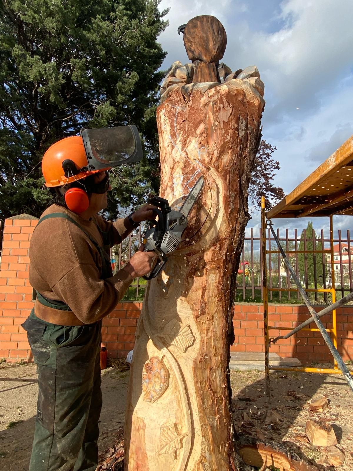 GALERÍA | El árbol de Moraleja que se convirtió en estatua