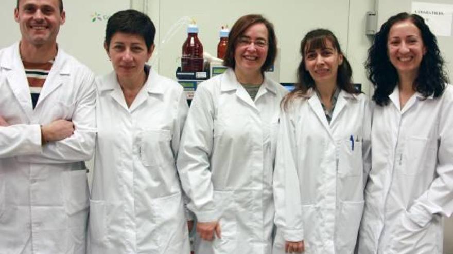 El equipo de investigadores del Campus de Gandia de la UPV.