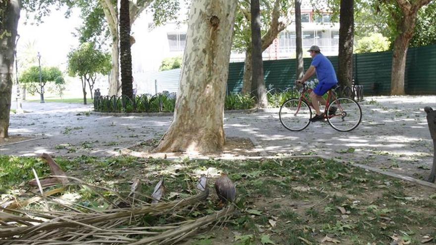 Fuertes vientos de hasta 67 km/h dejan un rosario de incidencias