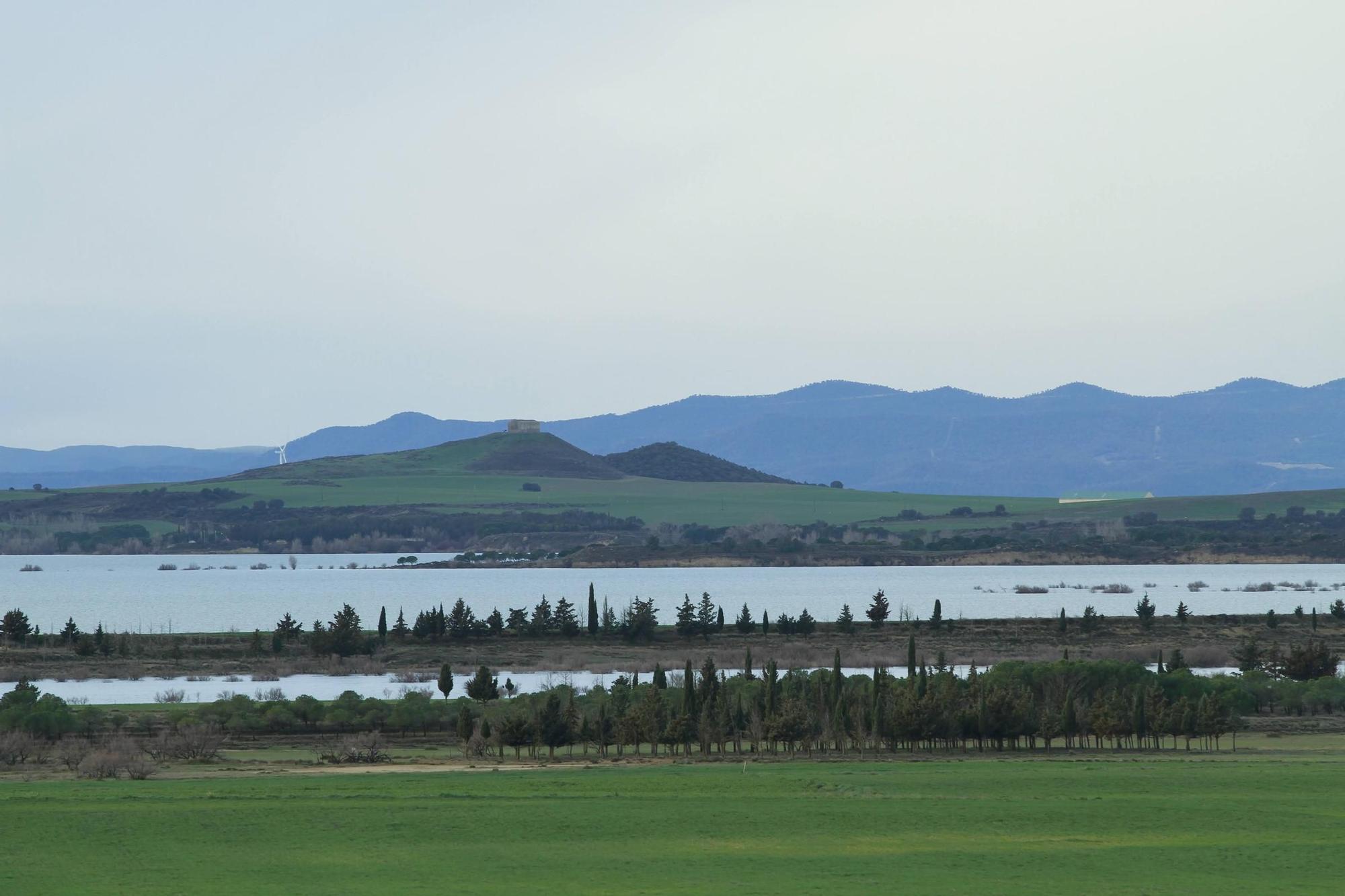 25.000 grullas levantan vuelo desde la alberca de Alboré