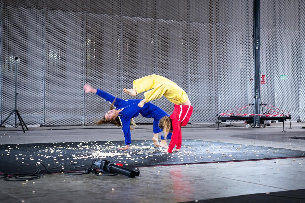 Festival Contorsions