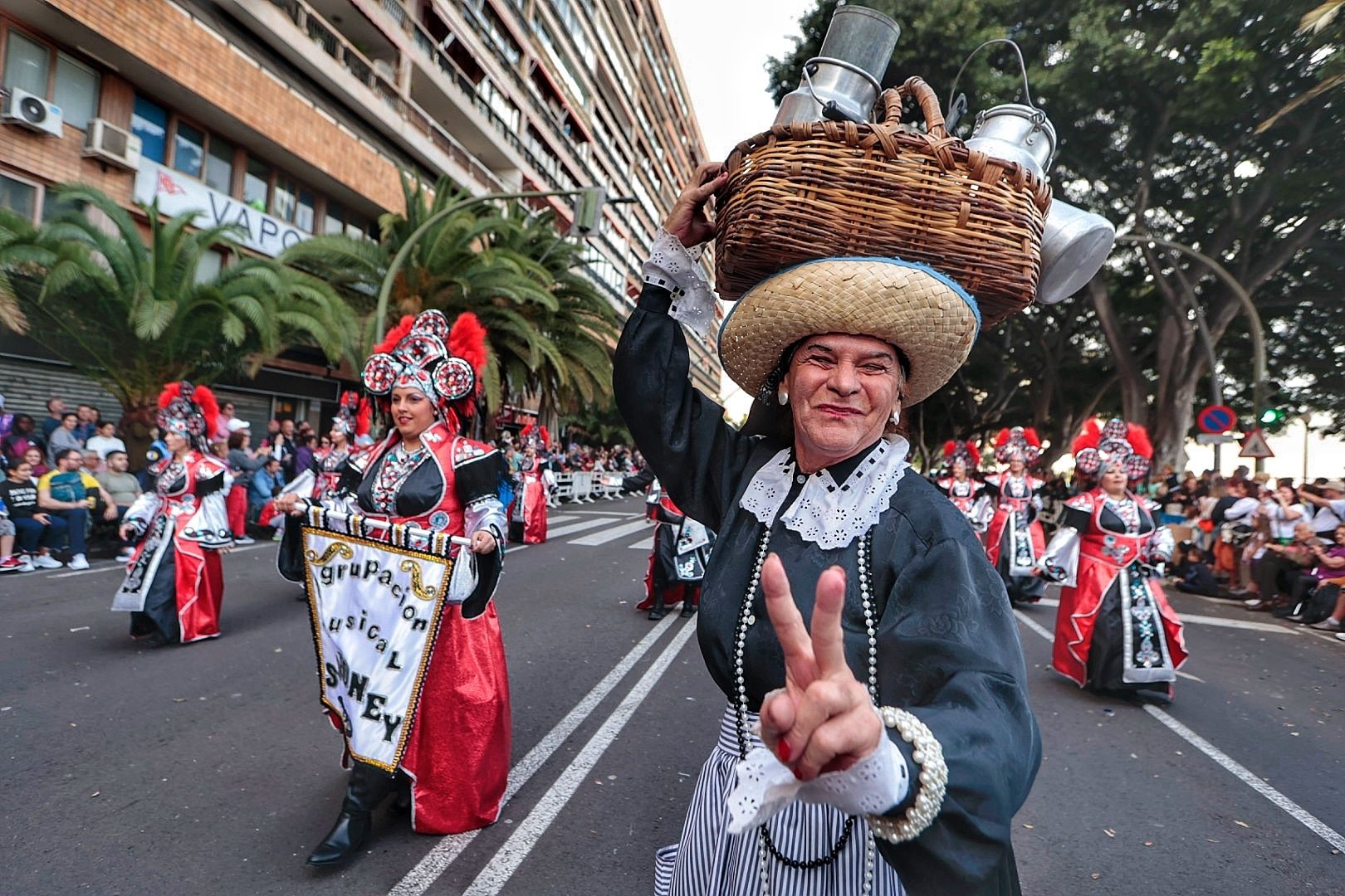 Coso del Carnaval de Santa Cruz de Tenerife