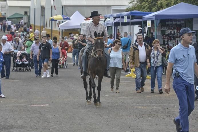 ARUCAS GRAN CANARIA A 27/05/2017. Feria de Ganado en la Granja del Cabildo de Gran Canaria. FOTO: J.PÉREZ CURBELO