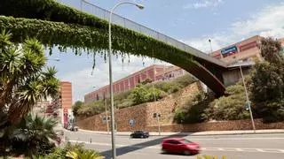 Alicante dedica la pasarela de La Goteta a Florentino Regalado