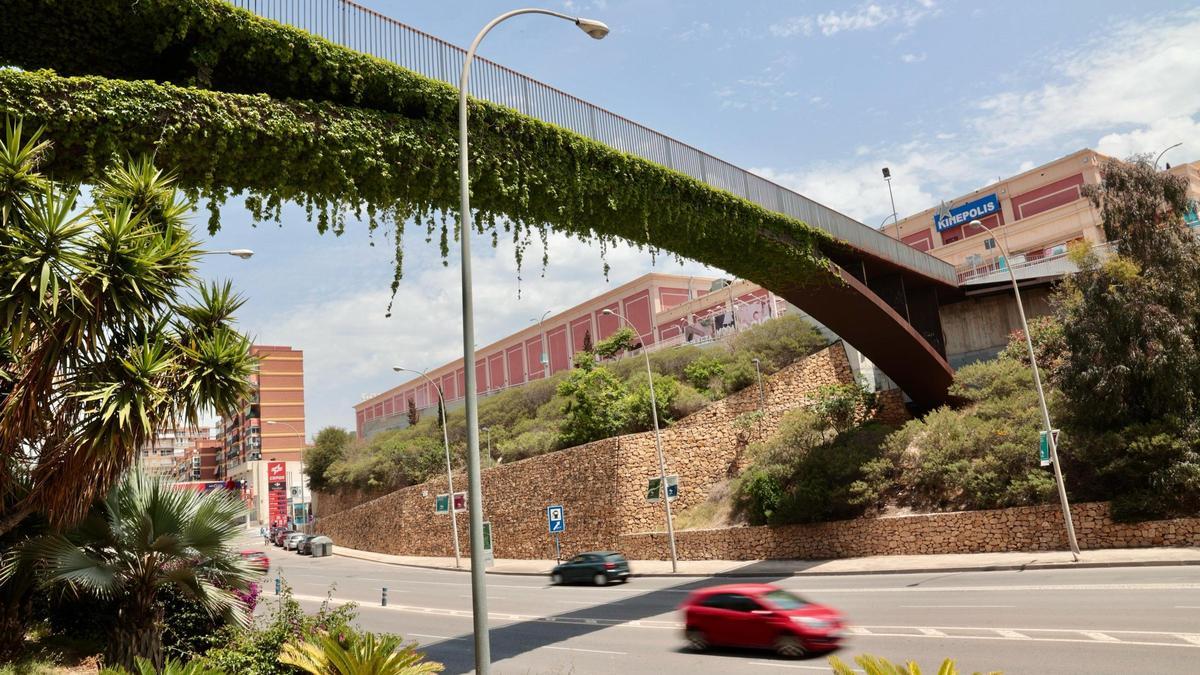 Alicante dedica la pasarela de La Goteta a Florentino Regalado