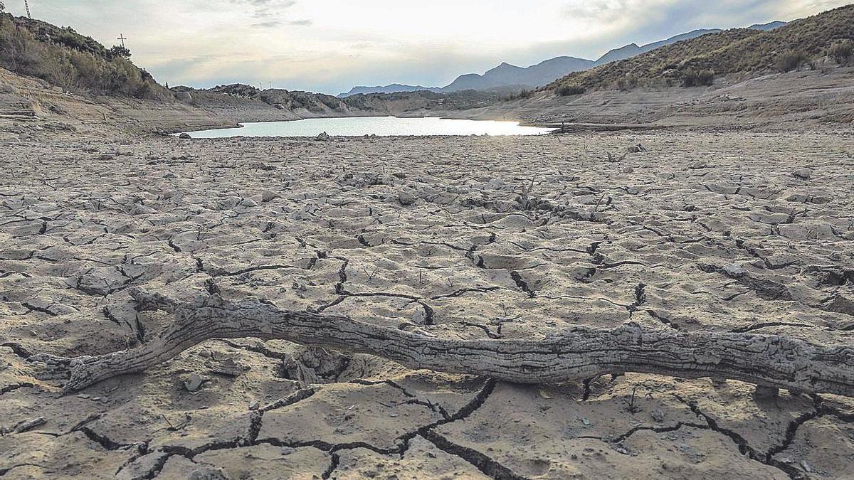 El pantano de Crevillent, hace unas semanas.