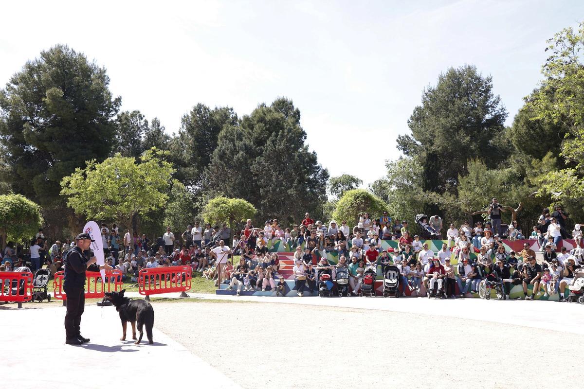 La exhibición de la unidad canina.