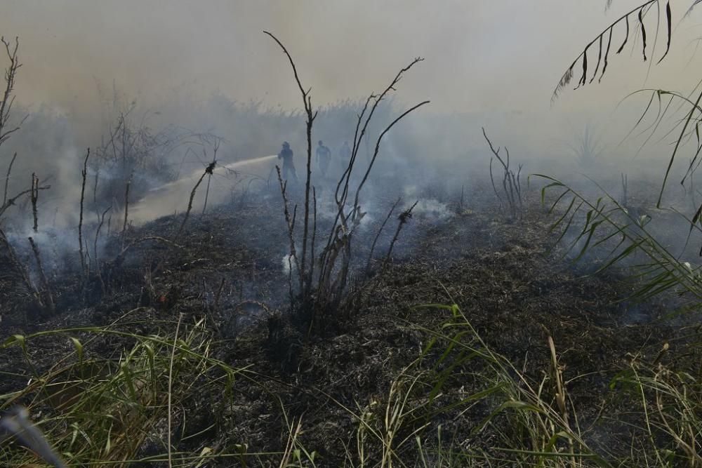 Incendio de matorral en Cabezo de Torres