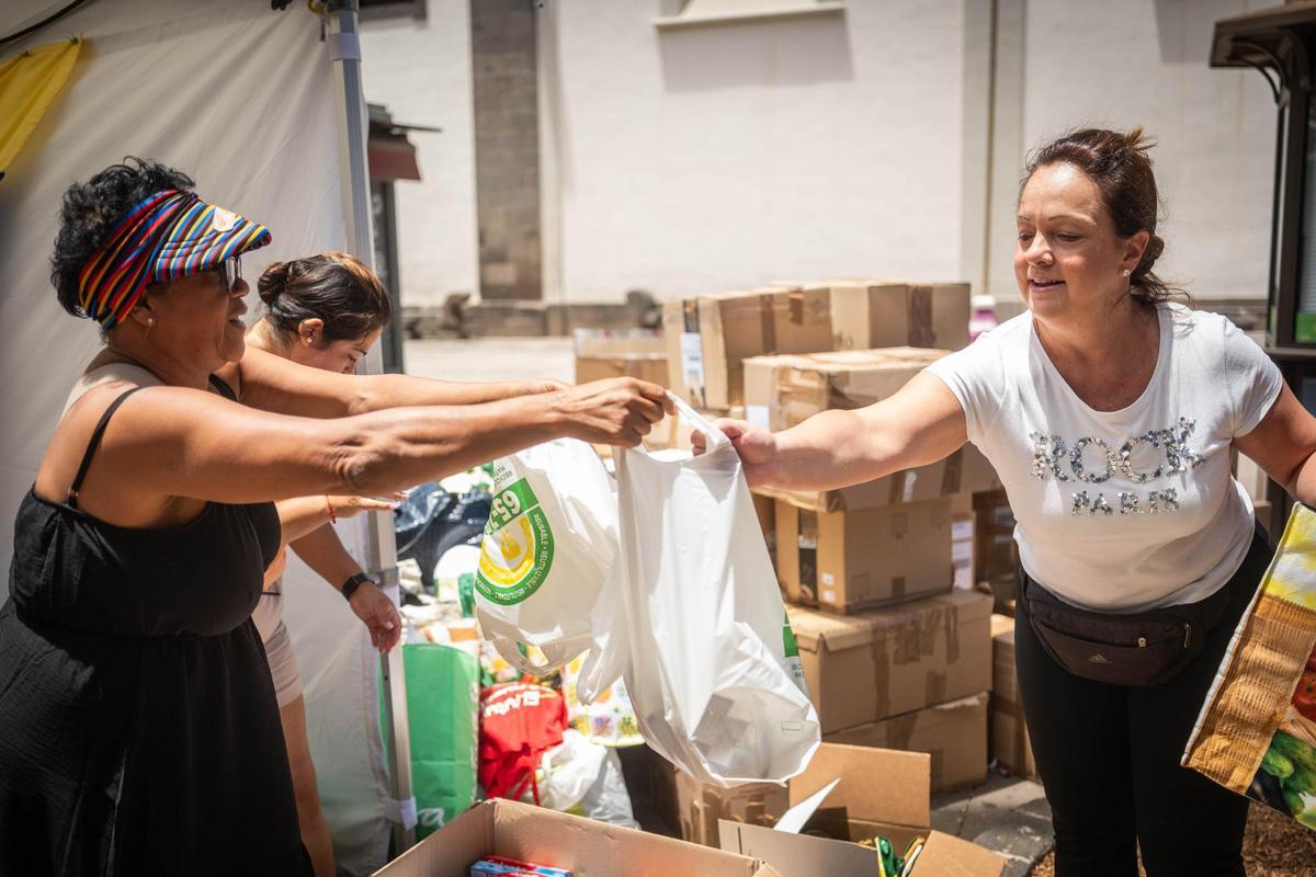 Recogida de alimentos y medicamentos en La Laguna