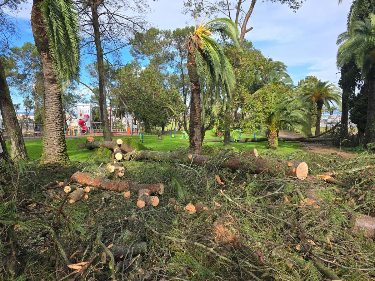 En los jardines de la Alcazaba.