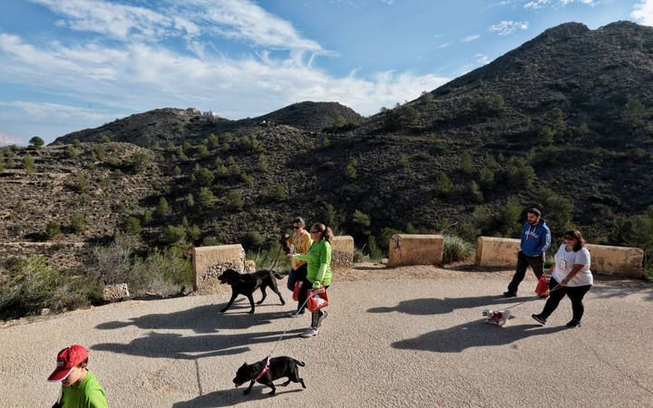 «Running» solidario con perros por l'Alfàs del Pi