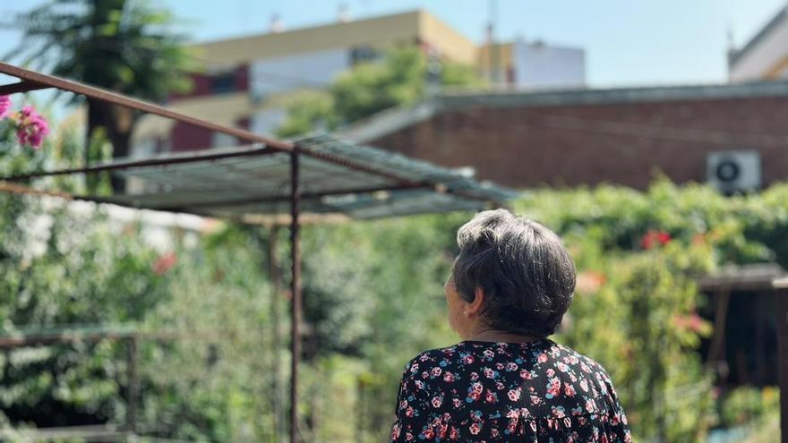 De llenar de flores los hogares de la Macarena a ser un vivero casi vacío por los robos: "Entran por la muralla, necesitamos que el ayuntamiento haga algo"