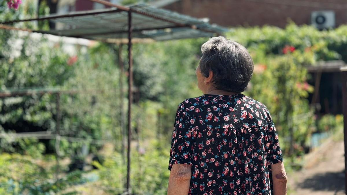 [Vídeo] De llenar de flores los hogares de la Macarena a ser un vivero casi vacío por los robos.