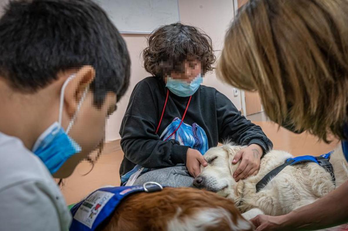 Terapia con perros, en el hospital de día de niños, en el Clínic