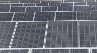 Transición Ecológica niega el permiso para una planta solar en Zamora