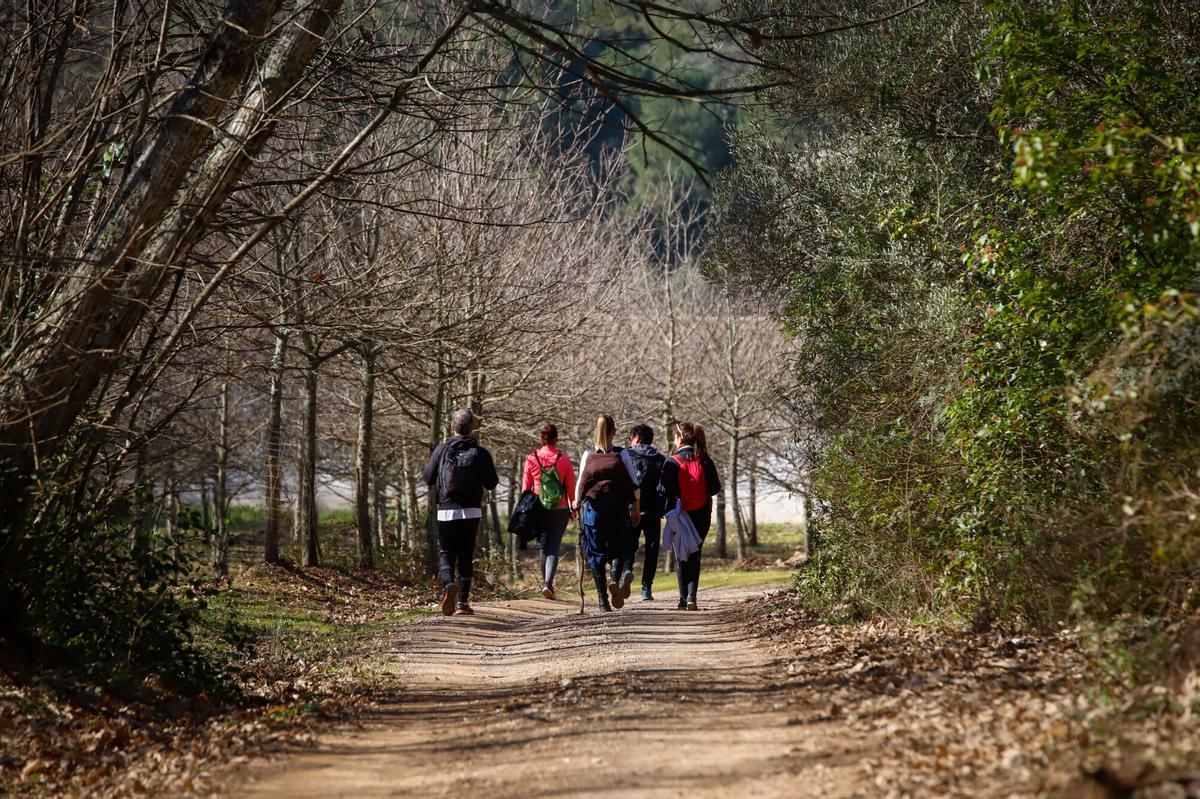 Senderistas completan la ruta circular de Trassierra.