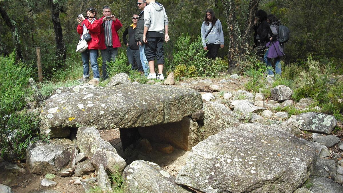Un dels dolmens de l'Albera.