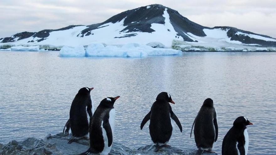 El hielo de la Antártida cae al segundo mínimo histórico en 40 años