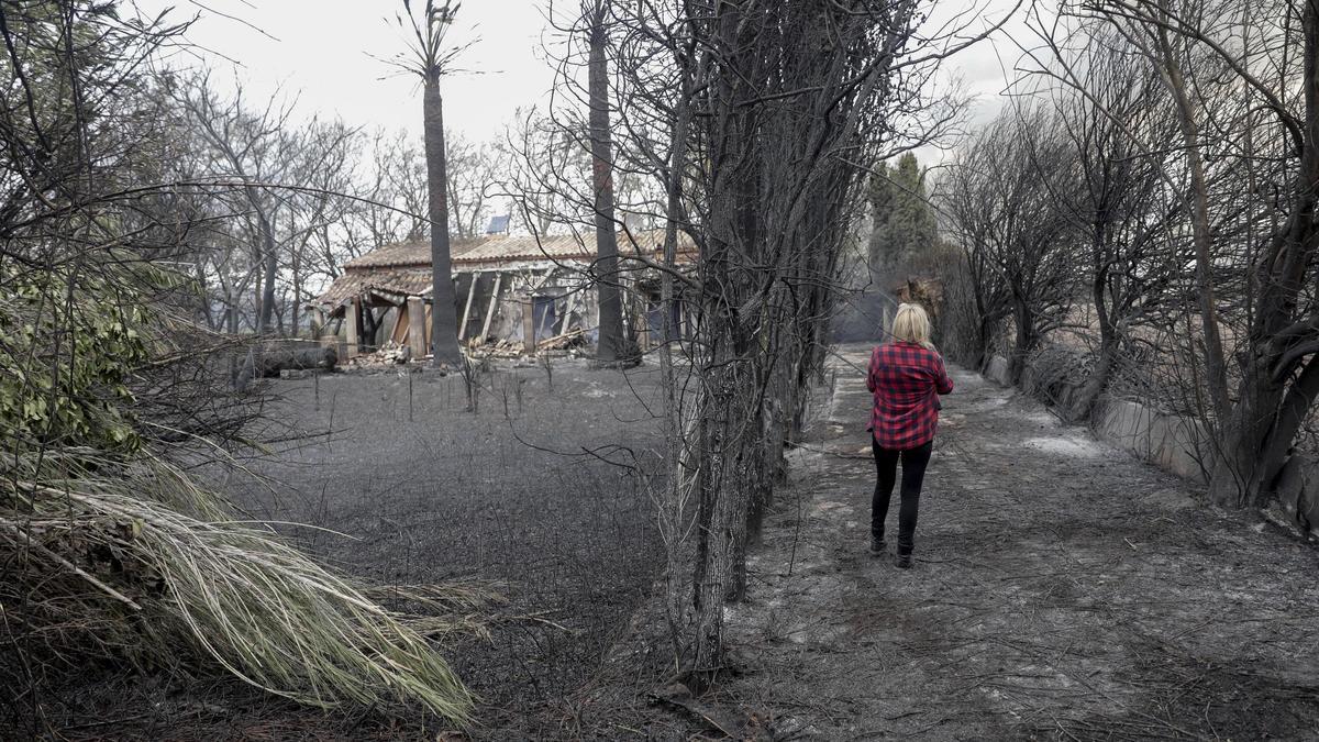 Paisaje tras el incendio de s&#039;Albufera