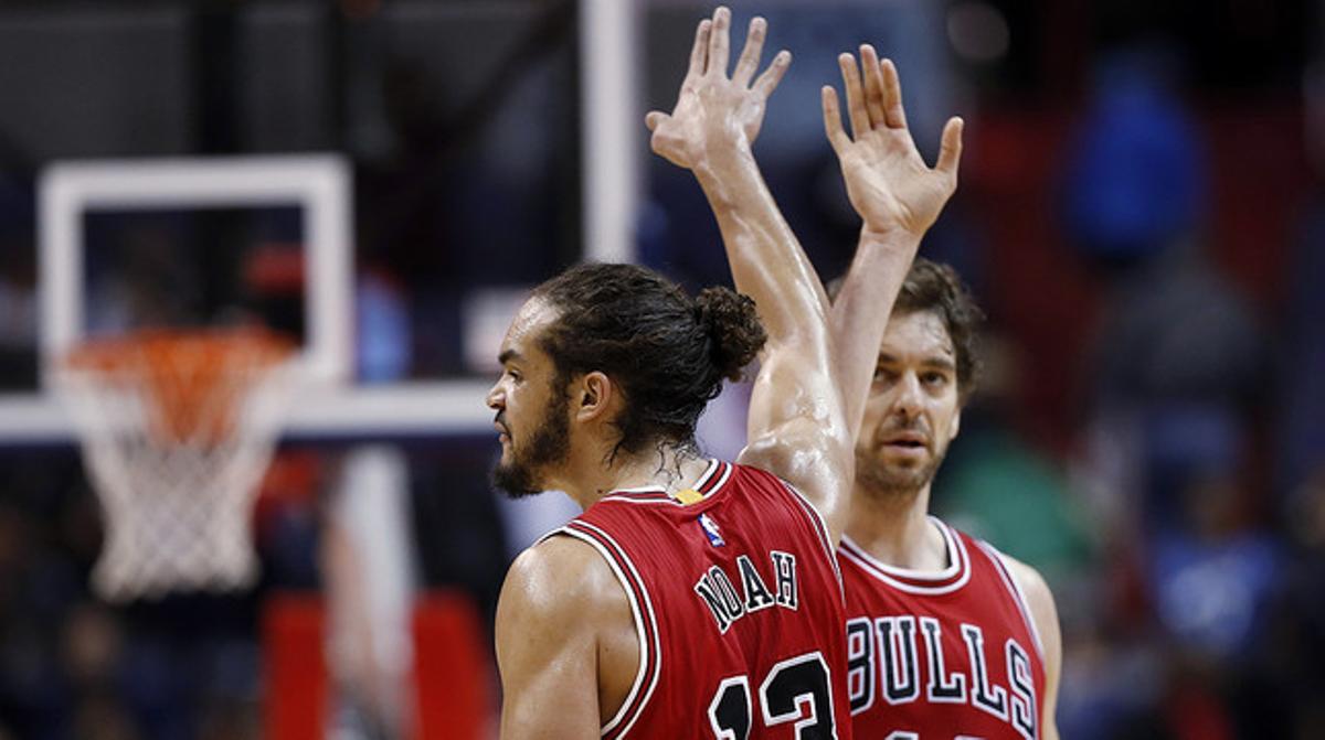 Pau Gasol i Joakim Noah celebren la victòria dels Bulls davant els Wizards.