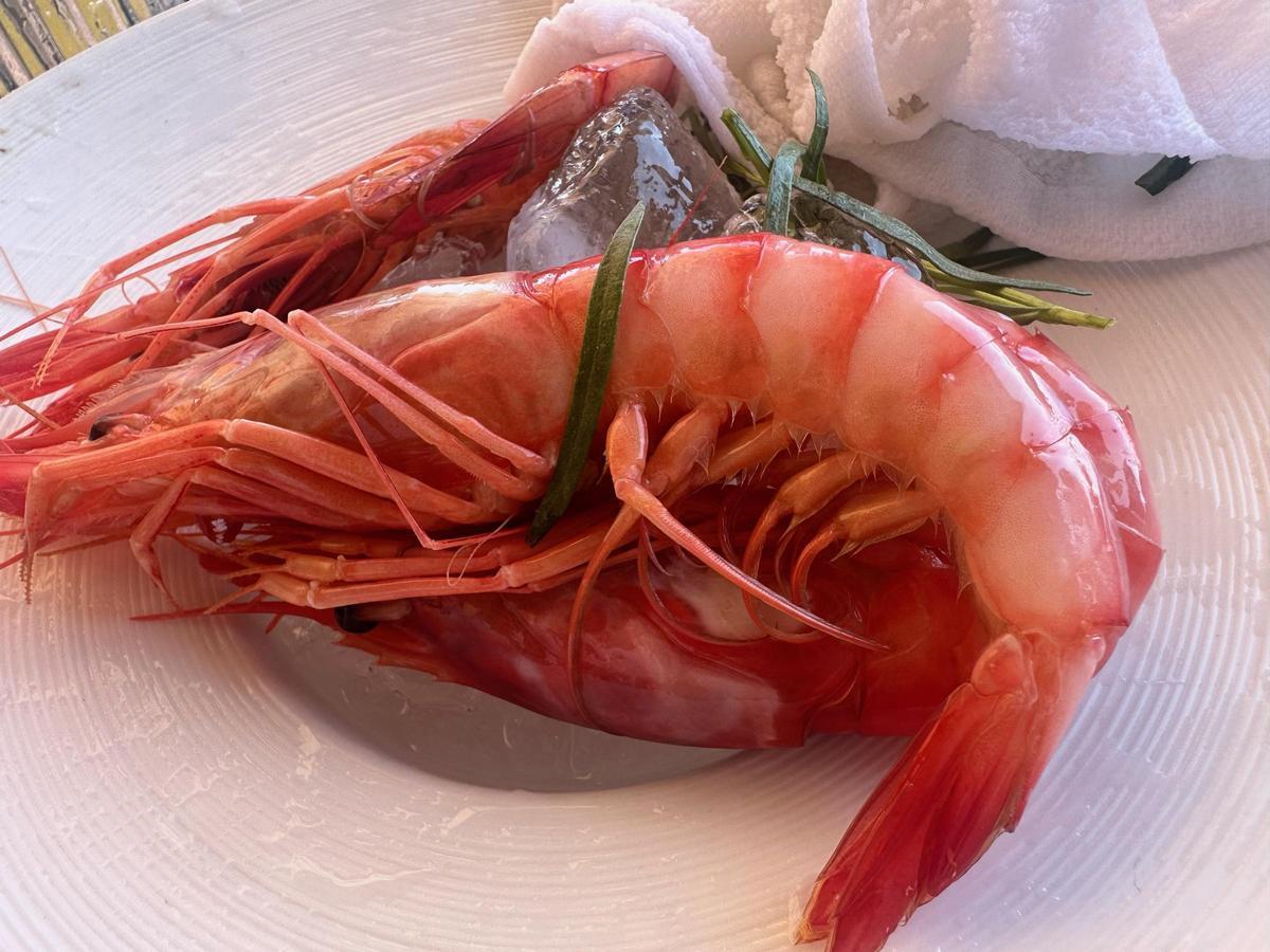 Gamba roja de Jávea.