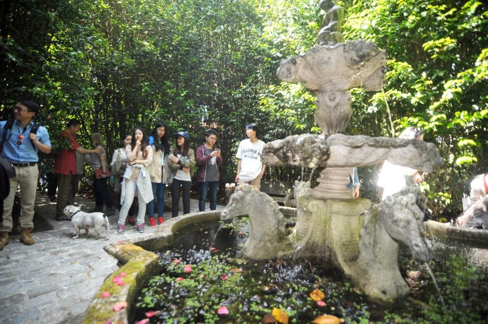 Estudiantes chinos visitan el jardín botánico de Q