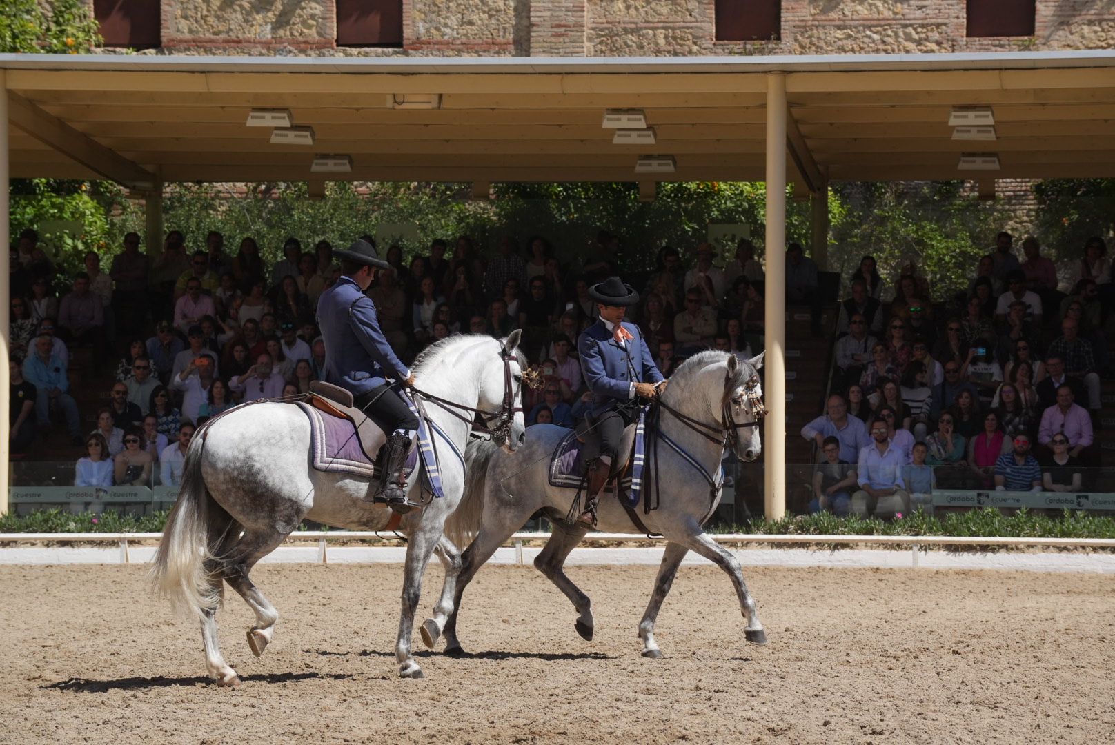 Marcha ecuestre para conmemorar el 175º aniversario de la Facultad de Veterinaria