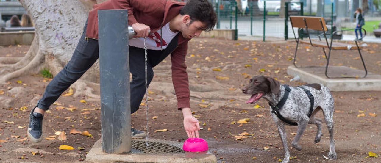 Manuel Pariboni da de beber a su perra Frida, un braco alemán, en el parque San Telmo.