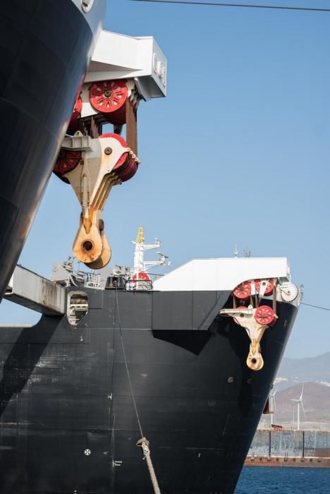 Visita al barco más grande del mundo que está ...