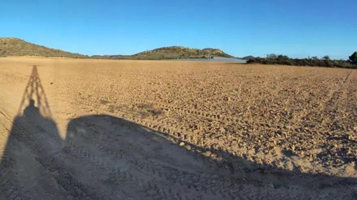 Parcela de Los Urrutias, donde también se ha actuado
