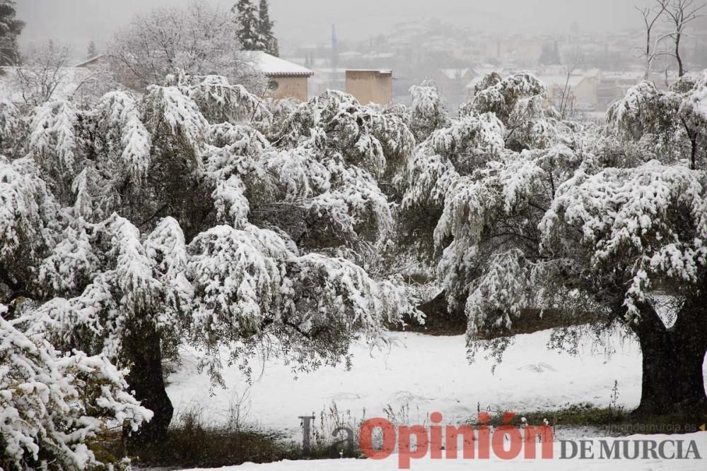 Nieve en las Fuentes del Marqués de Caravaca