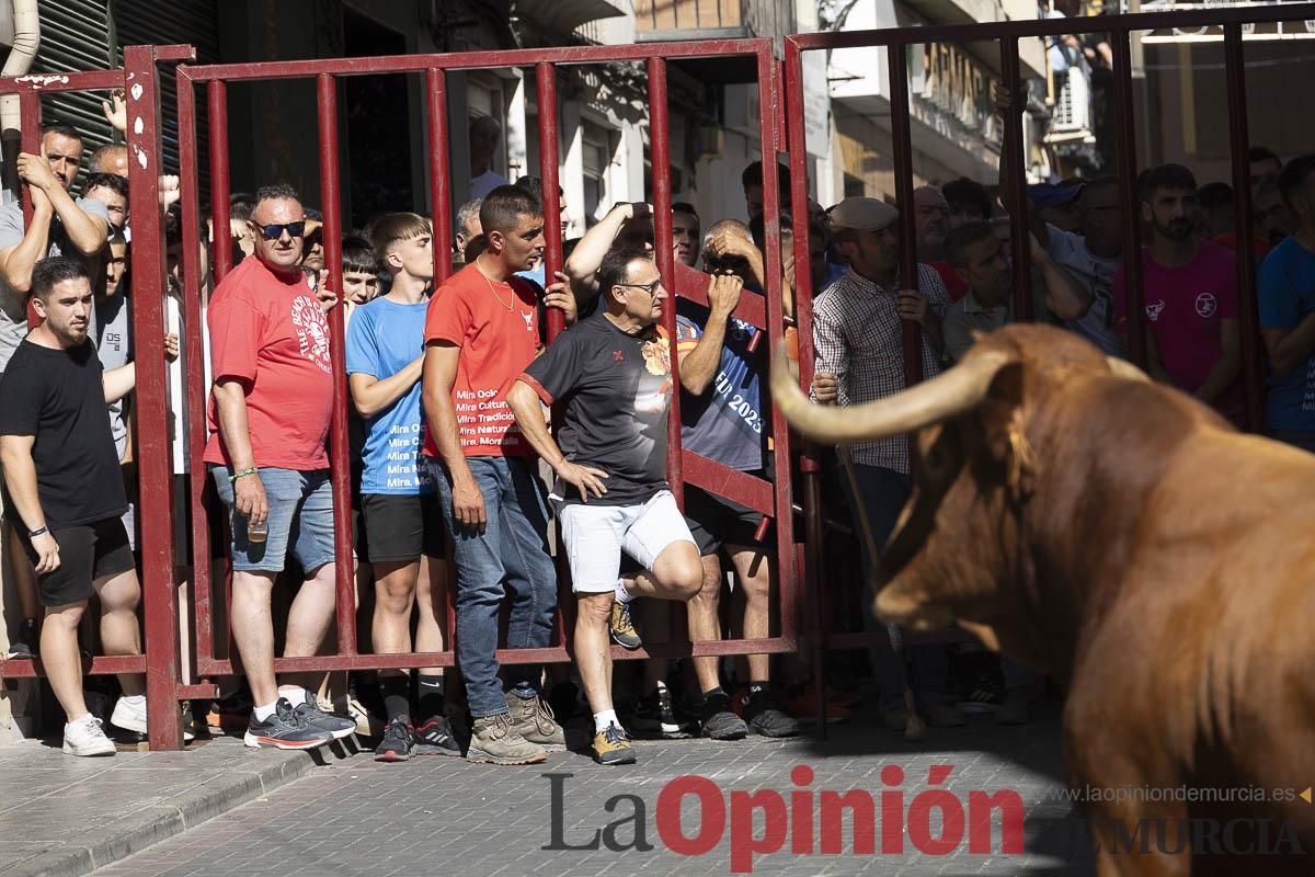Tercer encierro de las Fiestas de Moratalla