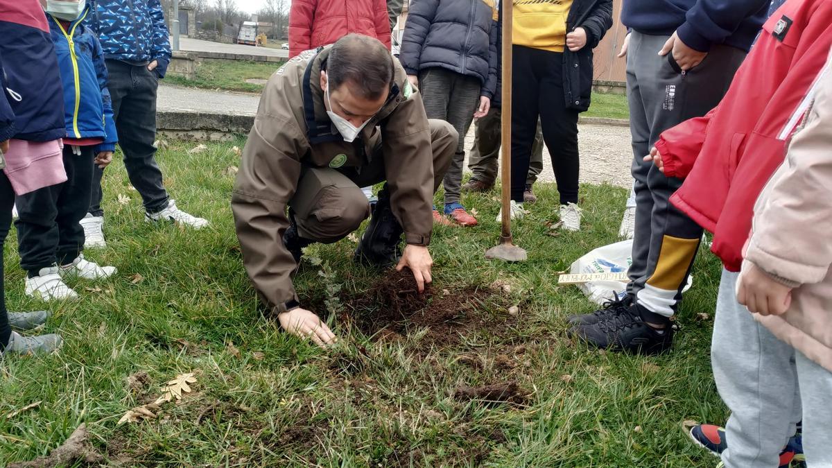 Un trabajador de Medio Ambiente enseña a los niños de La Carballeda a plantar árboles.