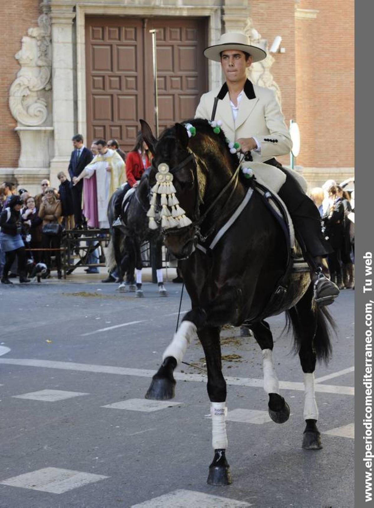 GALERÍA FOTOS: Castellón celebra Sant Antoni