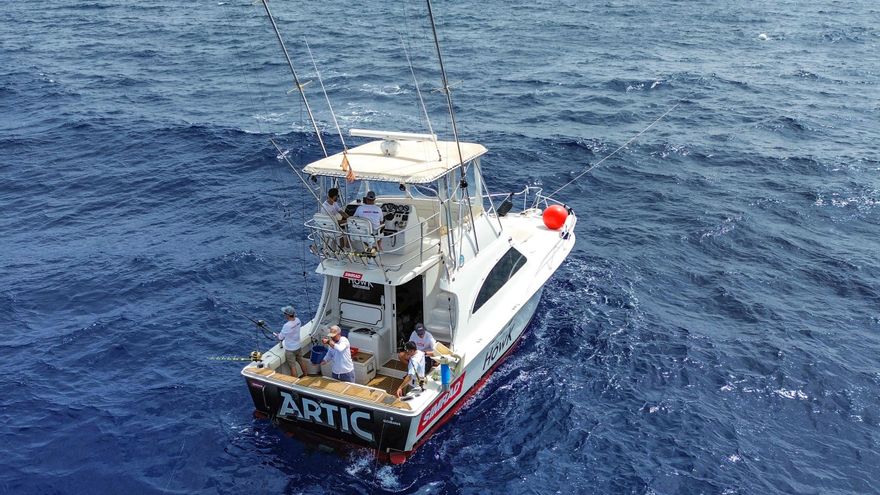 Un día a bordo del Artic pescando atunes rojos para marcarlos con GPS