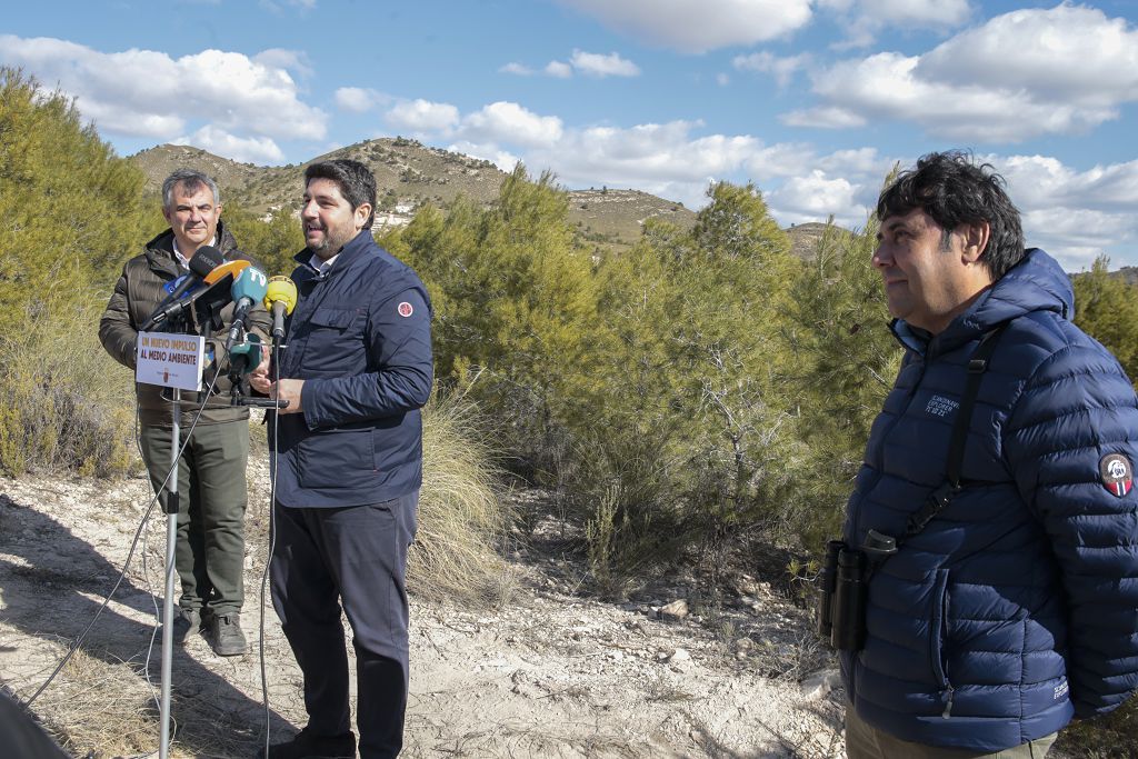 Las imágenes de la llegada de tres ejemplares de lince ibérico a las montañas de Lorca