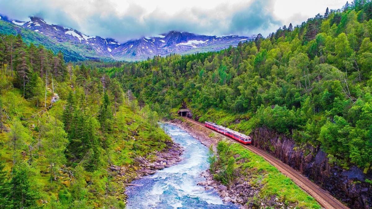 Tren Oslo-Bergen, Noruega