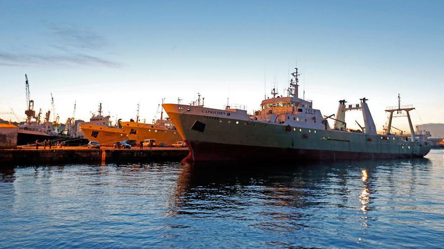 Barcos de la flota de las Malvinas, amarradas en el puerto de Vigo // Marta G. Brea