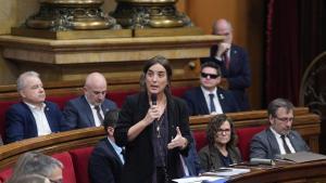 La consellera de Investigación y Universidades, Núria Montserrat, en el Parlament