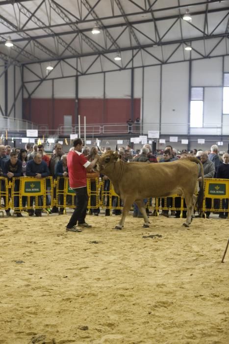 Fiestas de La Pontona en Pola de Laviana