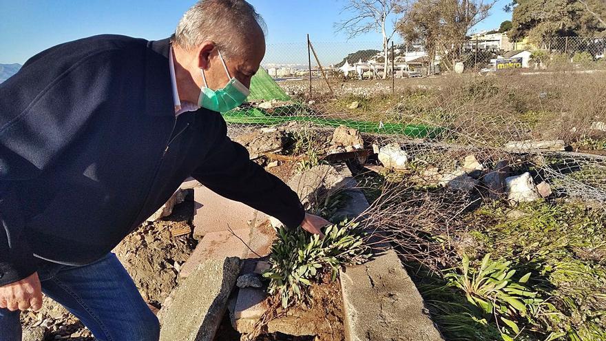 Un dirigente vecinal de Pedregalejo examina la plantación tras el temporal, la semana pasada. | A.V.