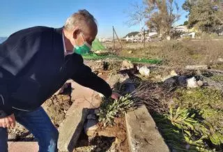 El Limonium cambia el apellido